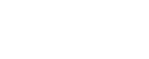 Somerset council